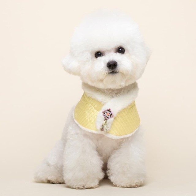 옐로우 이미지