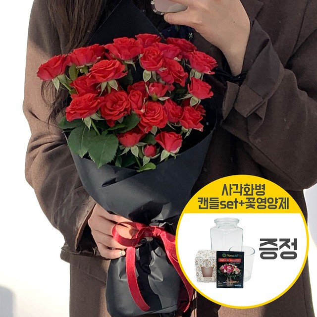 플플 이미지
