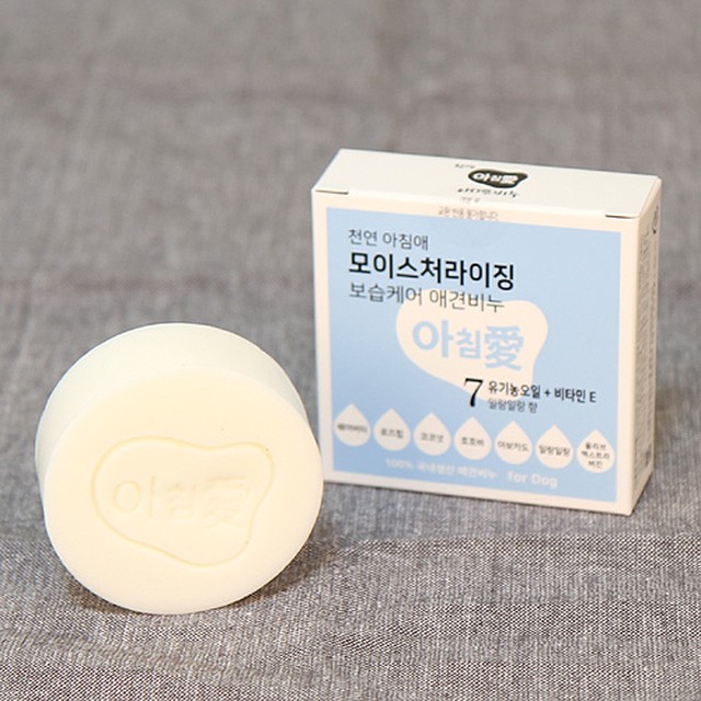 아침애 이미지