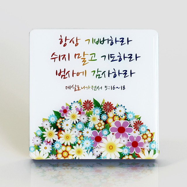 피드 이미지