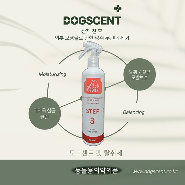 센트 이미지