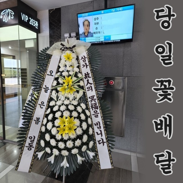김해성모병원 이미지