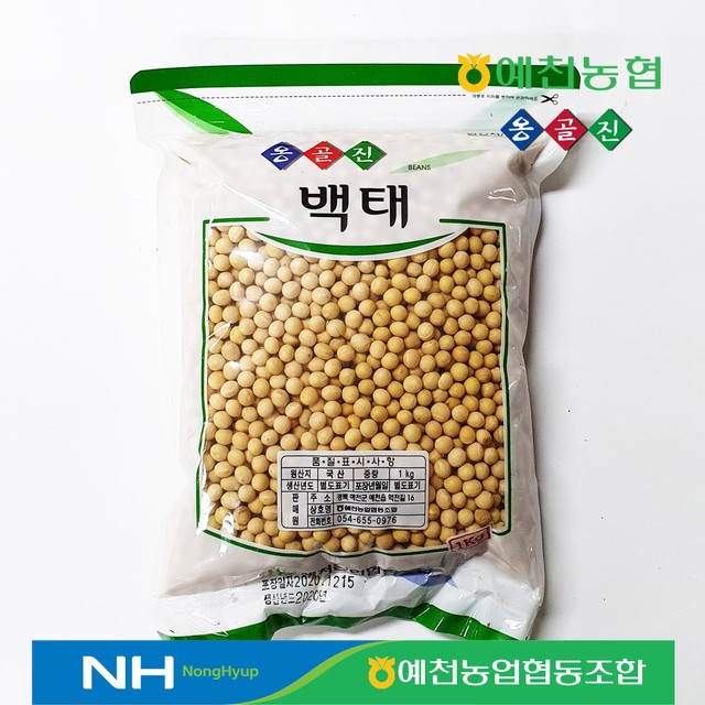 옹골진 이미지