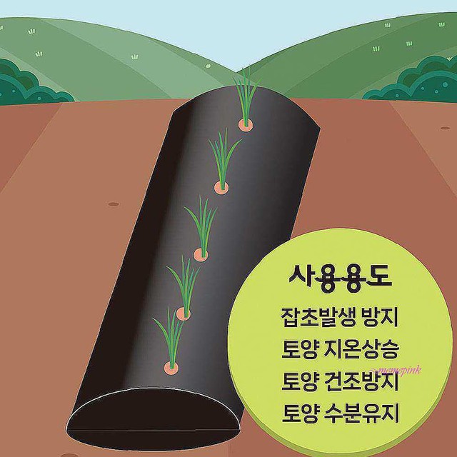 유공샵 이미지