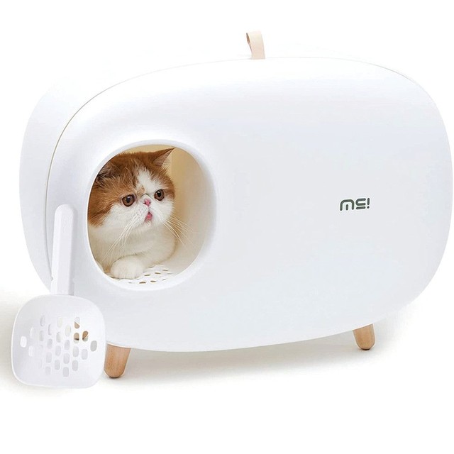 아트위스 이미지