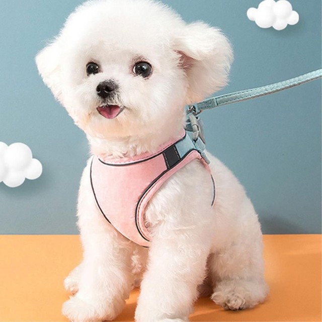 주식회사 산책 이미지