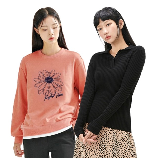 체이스컬트 이미지