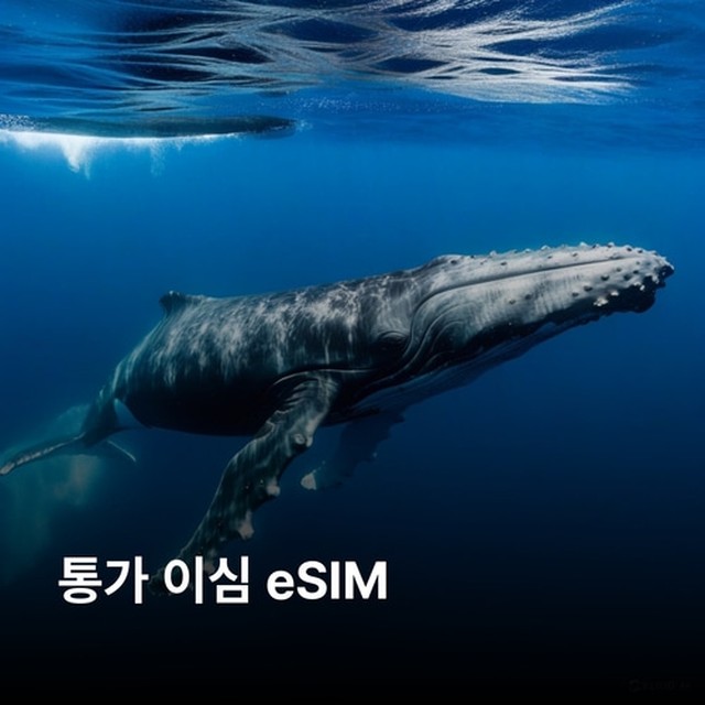 (주)뜨거운청춘 이미지