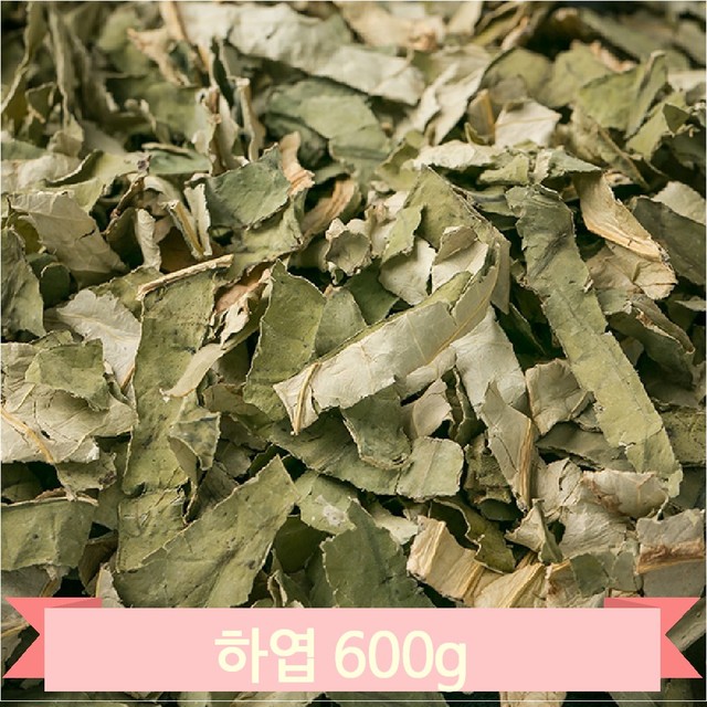 약초 이미지