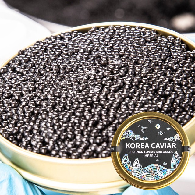 함양군 철갑상어 영어조합 이미지