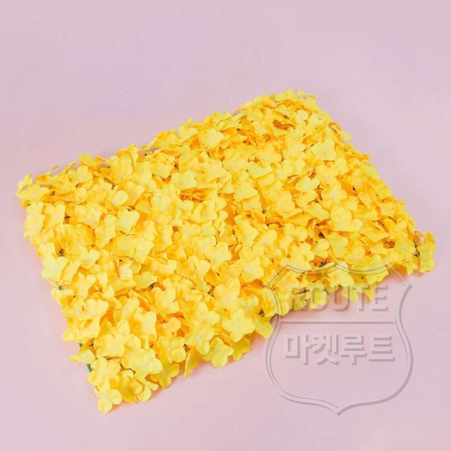 루트플라워 이미지