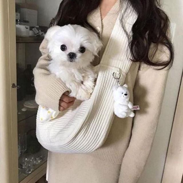 이*천 이미지