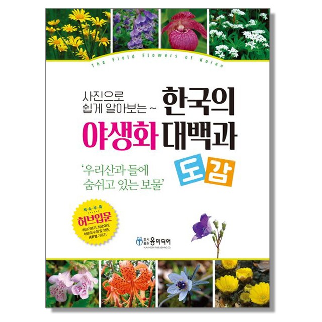 윤미디어 이미지