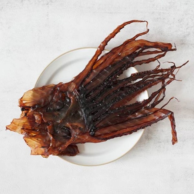(주)리앤뉴 이미지
