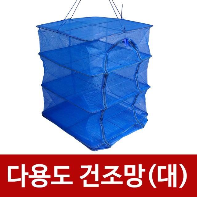 영스타 이미지