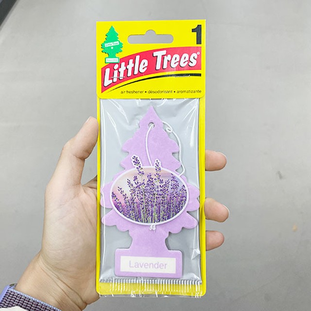 알레스 이미지