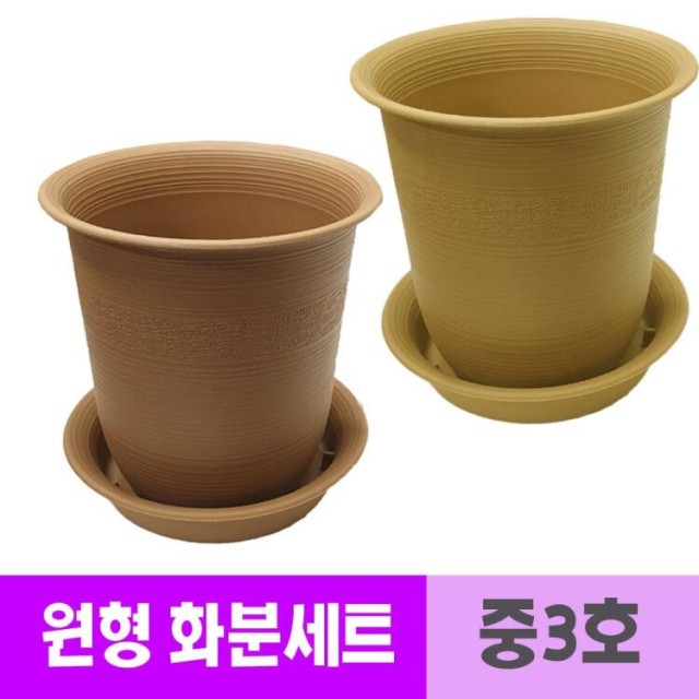 웰빙플러스 이미지