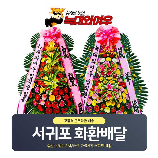 서귀포웨딩홀 이미지