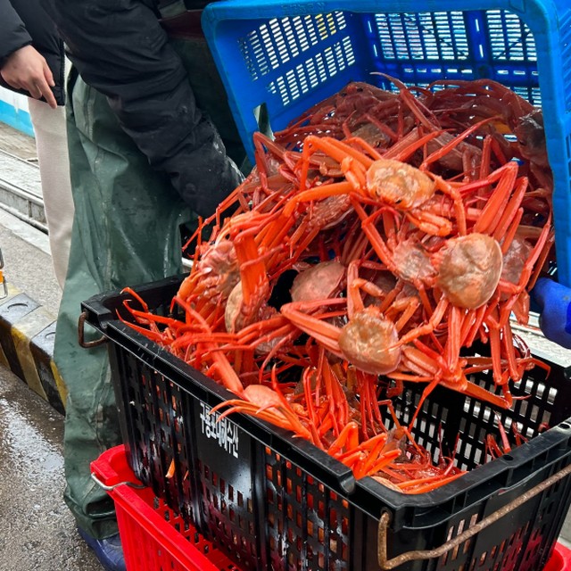 연지푸드 이미지
