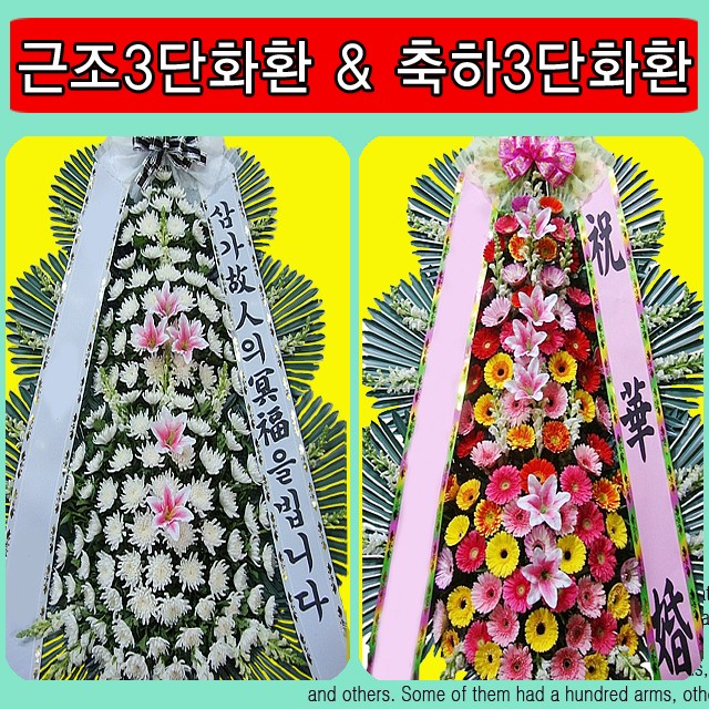 영주꽃배달 이미지