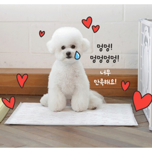 뽀송 이미지