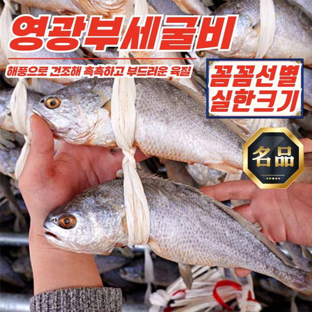 영광 이미지