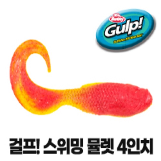 버클리 이미지
