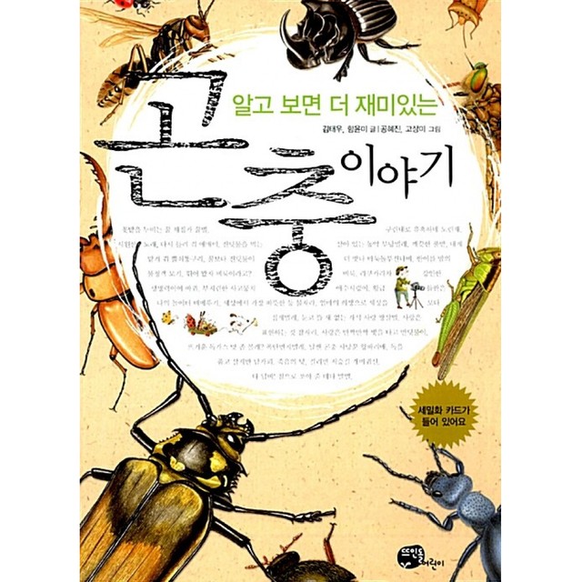 뜨인돌 이미지