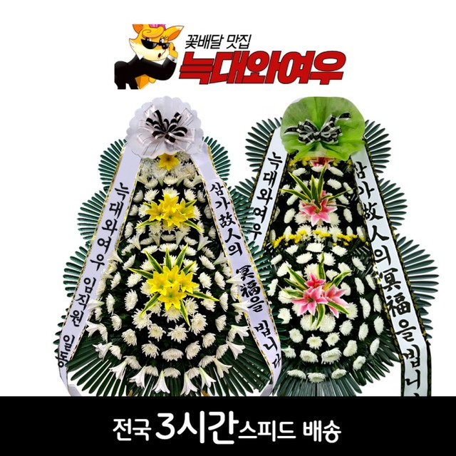 여천전남병원 이미지