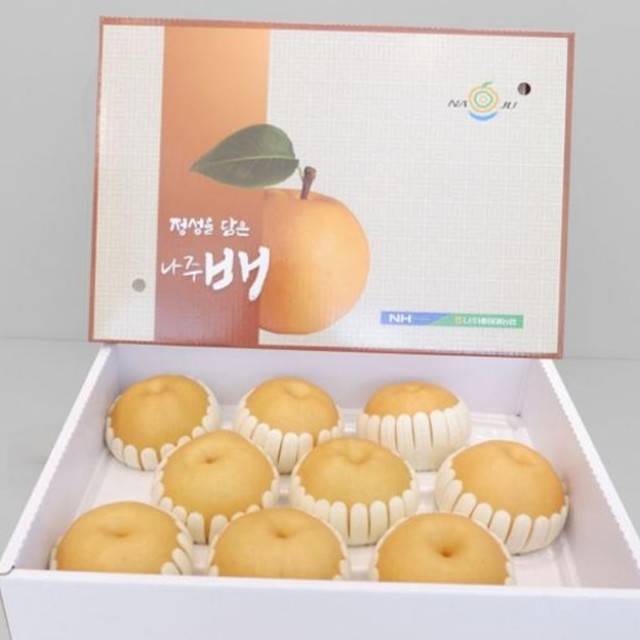 원항 이미지