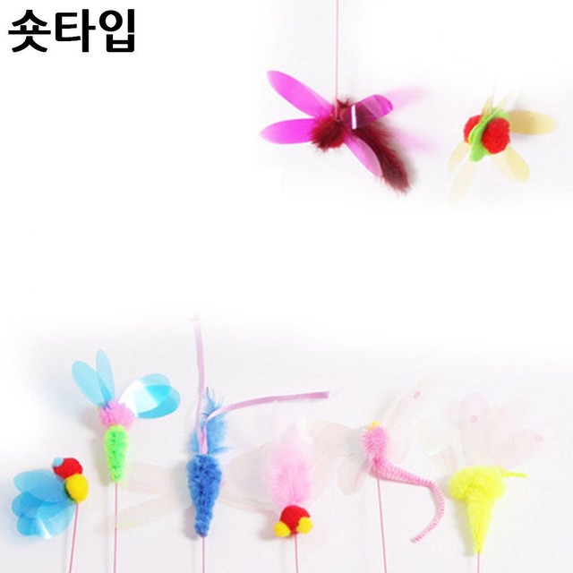 토리완구 이미지