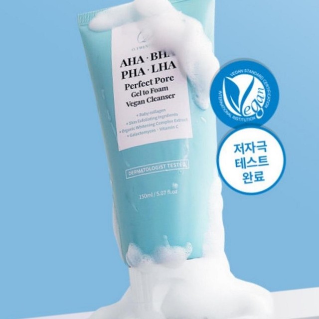 파하 이미지