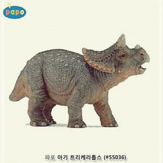 카티에스 이미지