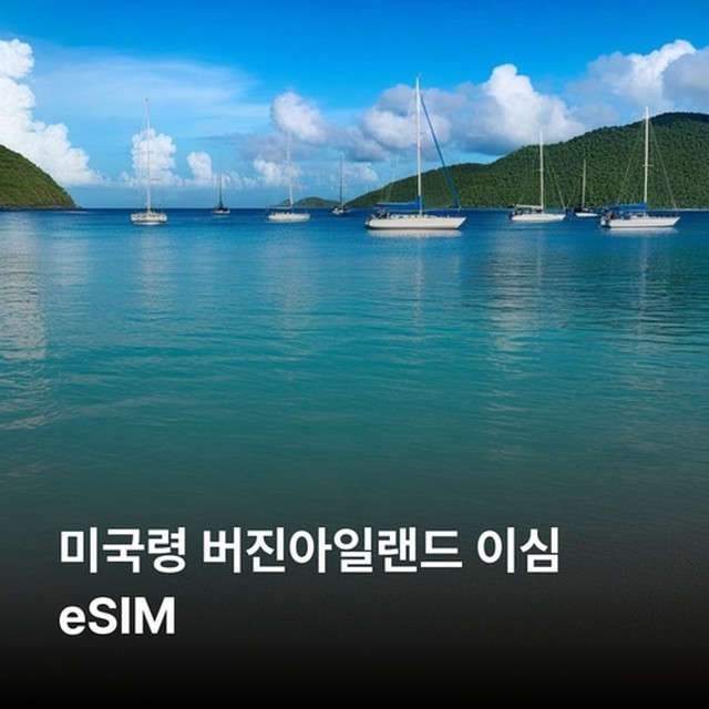 (주)뜨거운청춘 이미지