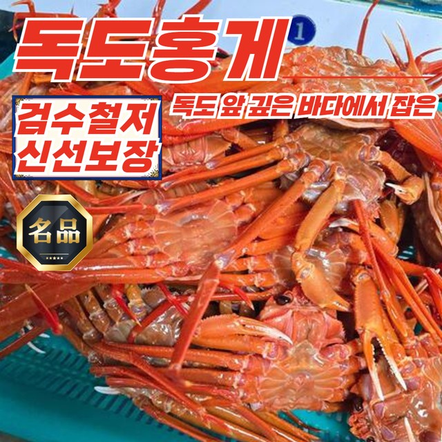 홍게야 이미지