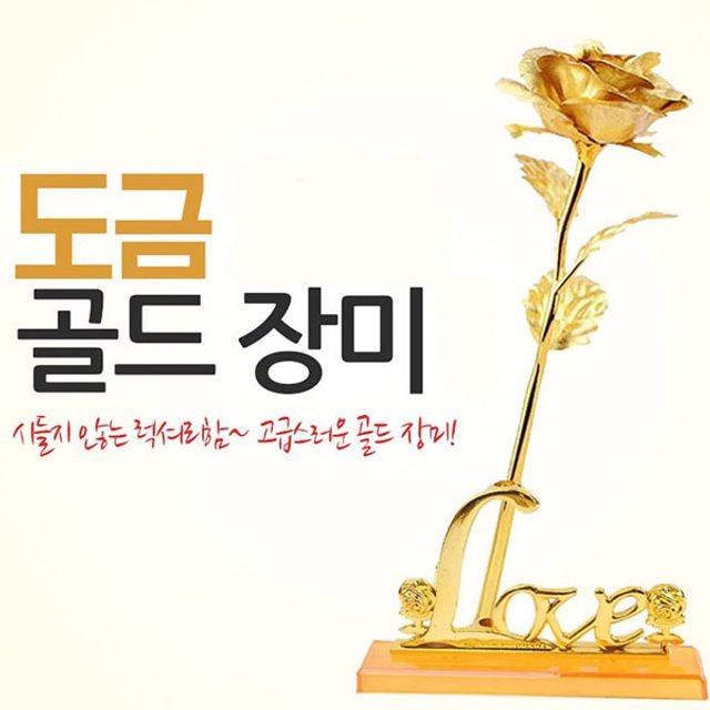 도금이네 이미지