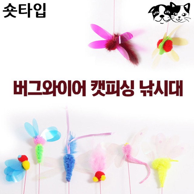 토리완구 이미지