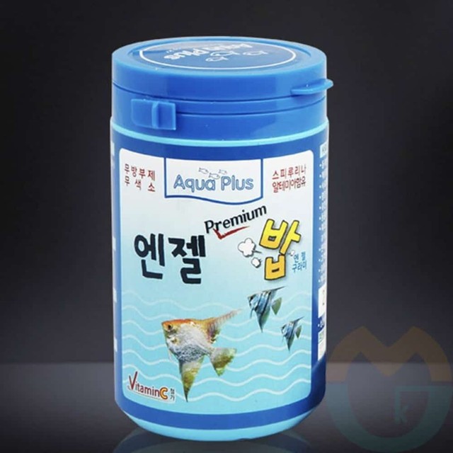 구피컴퍼니 이미지