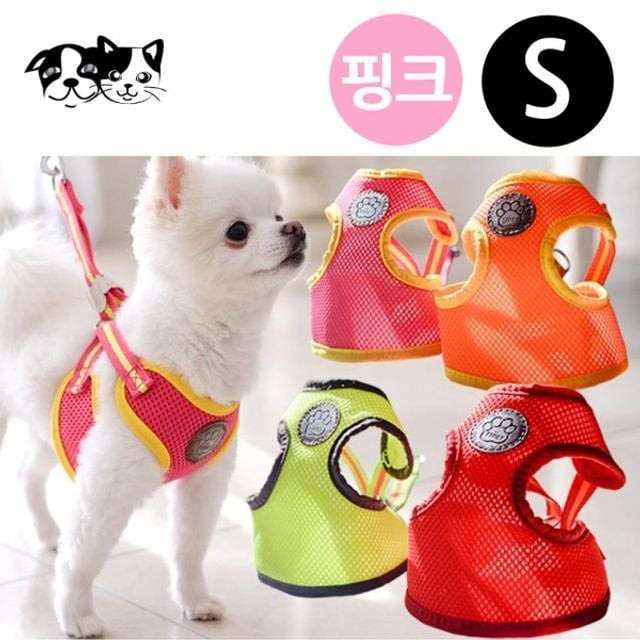 티티스마일 이미지