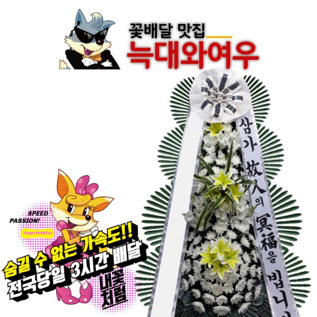 금성장례식장 이미지