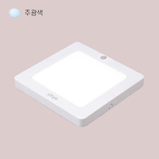 씨티오 이미지