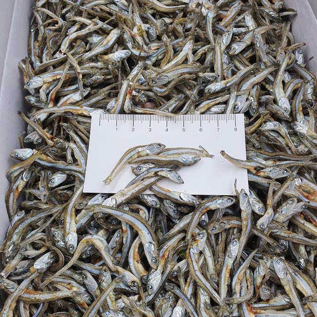 건통령 이미지