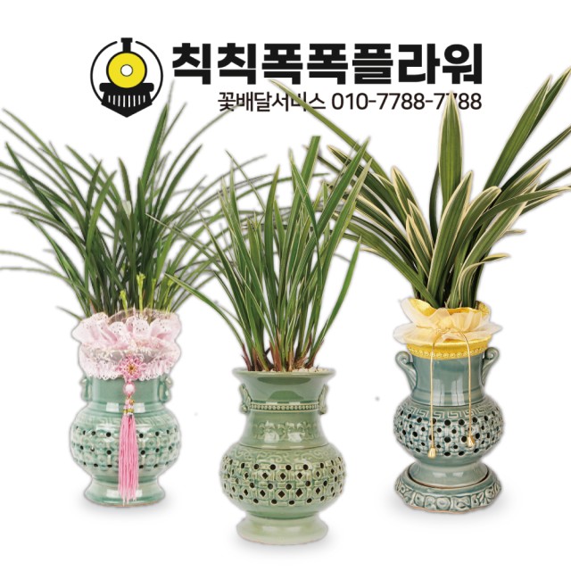 칙칙폭폭플라워 이미지