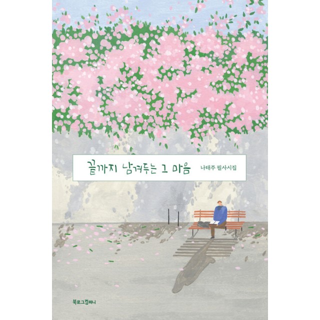 비디오컴퍼니 이미지