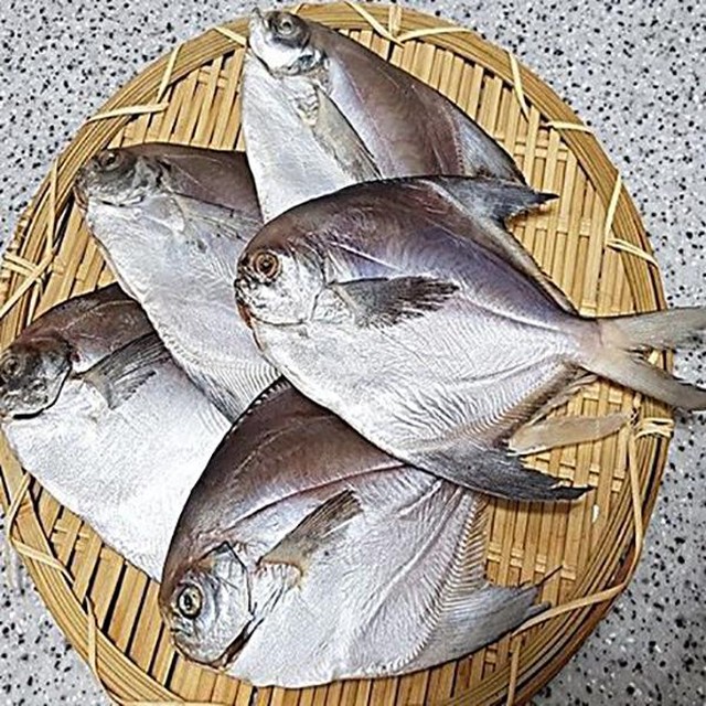 녹동 이미지