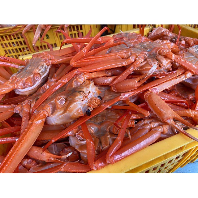 홍게찜 이미지