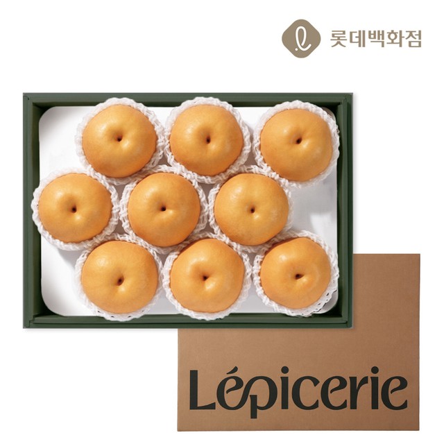 대향 이미지