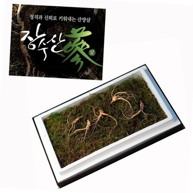강원산양삼 이미지