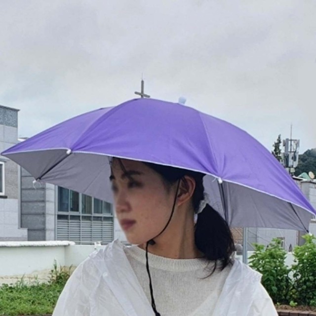퍼플소 이미지