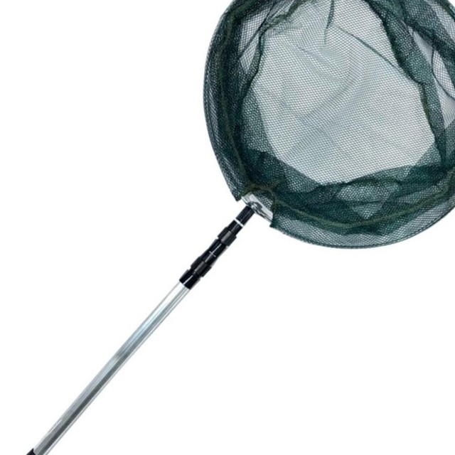에스엘피 이미지